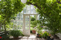 free Olive Green orangery quotes